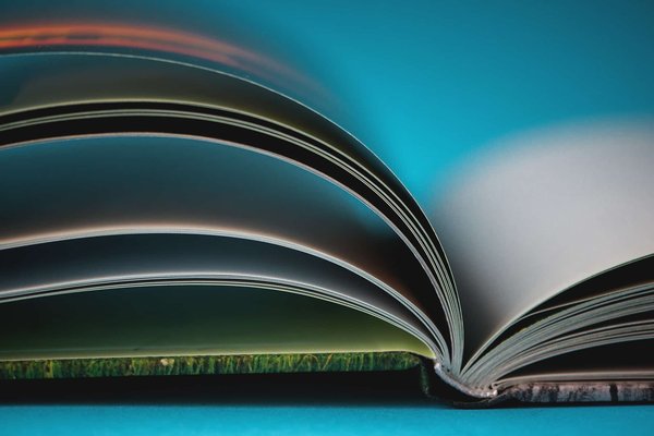 Pourquoi un livre photo plutôt qu’un album traditionnel pour cette année ?